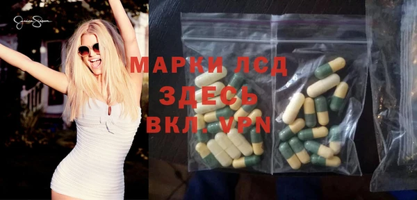 индика Богородск