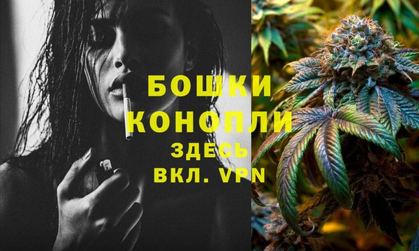 apvp Богородицк