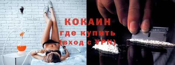 apvp Богородицк
