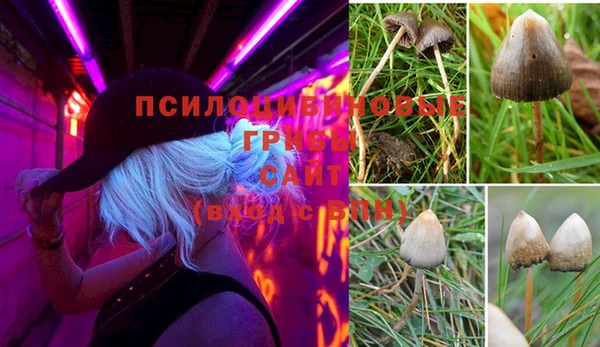кокс Богданович