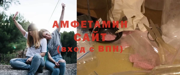 индика Богородск