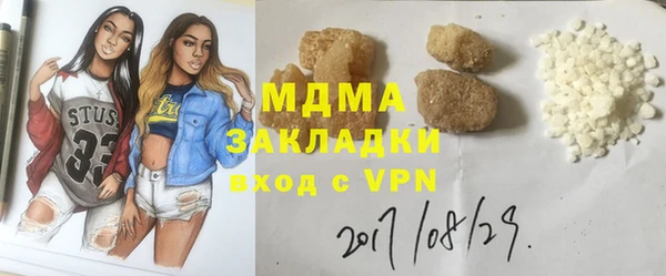 индика Богородск