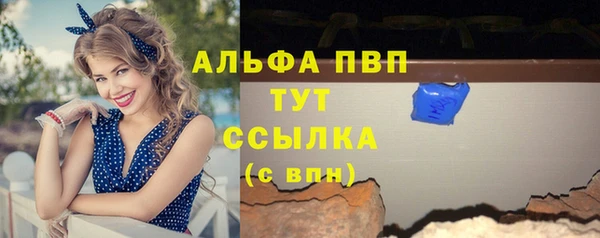 индика Богородск