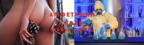индика Богородск