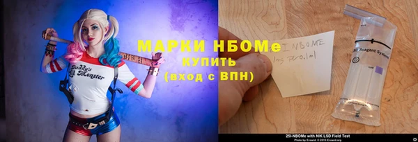 индика Богородск