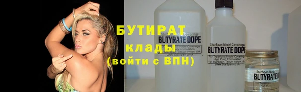 индика Богородск