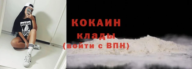 apvp Богородицк