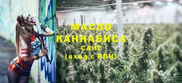 индика Богородск