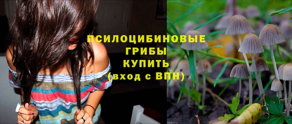 apvp Богородицк