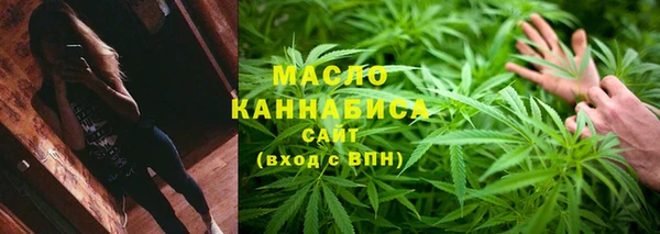 индика Богородск