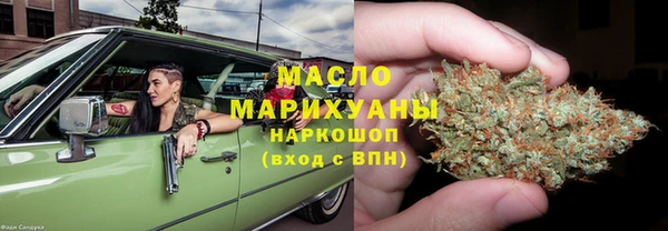 индика Богородск