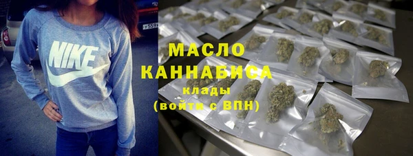 индика Богородск