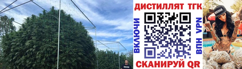 купить закладку  Калуга  ТГК THC oil 