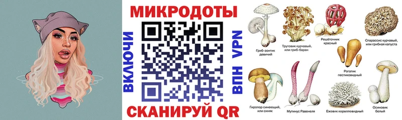 Псилоцибиновые грибы Psilocybe  Калуга 