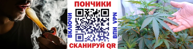 darknet наркотические препараты  Калуга  Шишки марихуана Amnesia 